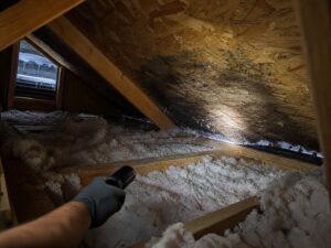 attic roof sheathing showing moisture damage and leak near eave during inspection