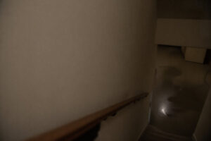 dark patch on basement floor partially visible from stairway with unclear cause