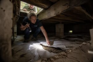 technician inspecting damaged vapor barrier in crawlspace to prevent mold growth in South Jordan home