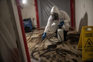 Sewage backup in basement bathroom before professional cleanup - South Jordan, UT